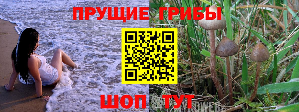 Псилоцибиновые грибы Psilocybe  купить  сайты  Рузаевка  Вход с VPN 