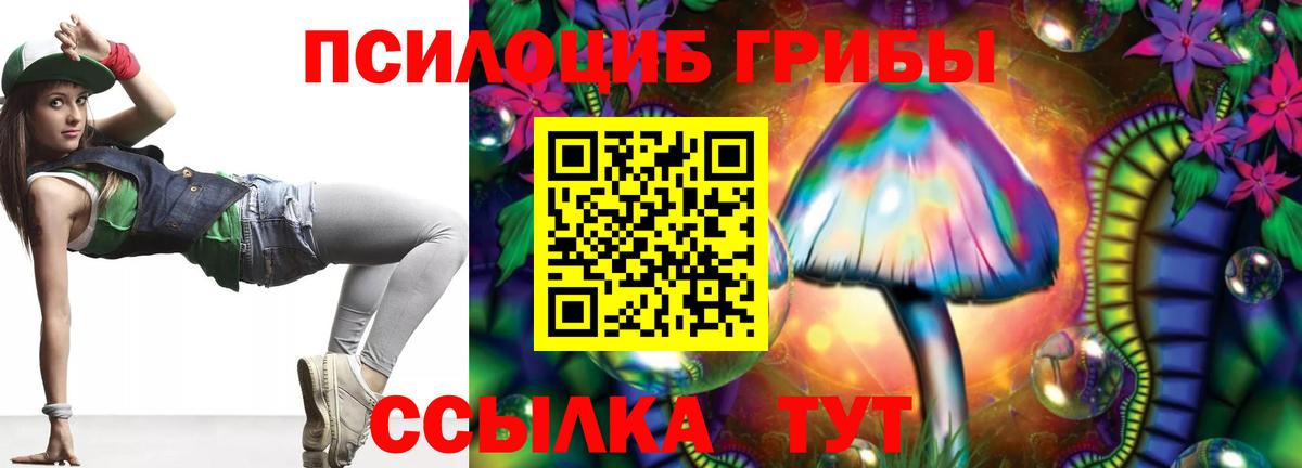 Псилоцибиновые грибы Psilocybine cubensis Рузаевка